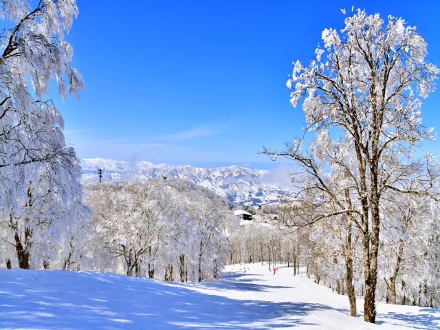 スノボー旅行で使う便利グッズ